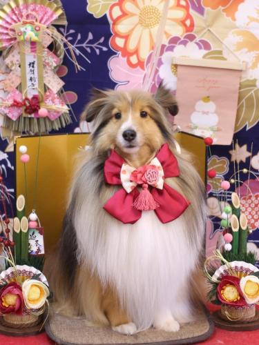 20240130ノアくん